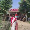 shisir255661