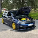 @plavasestica