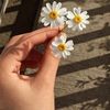 hasanoffa_4