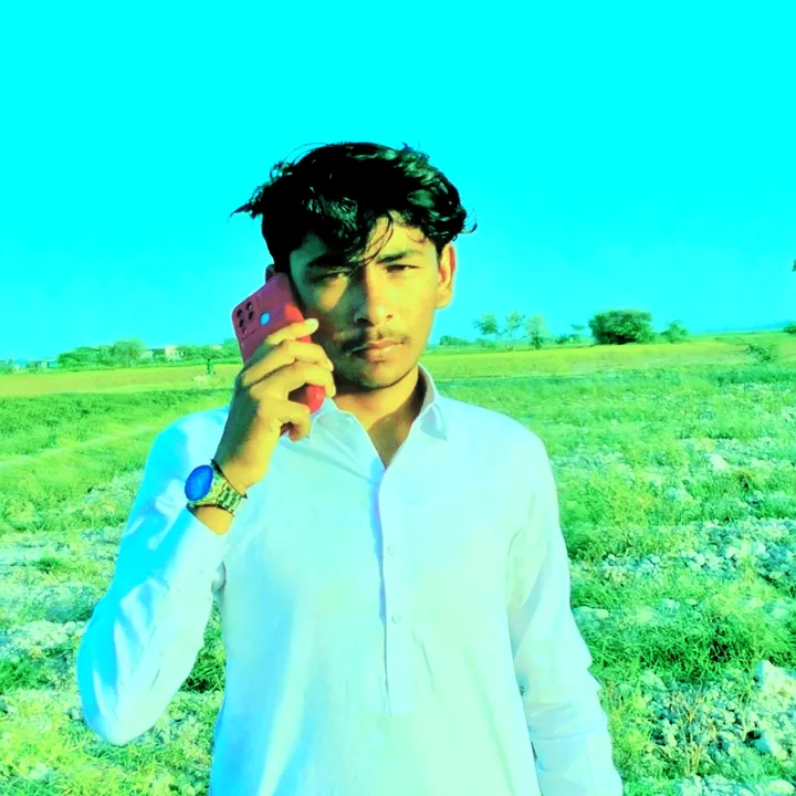 @dilsher9083