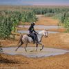 uitzicht_arabian_