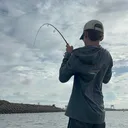 @jarrahsfishing