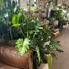 theplantbunker_brisbane