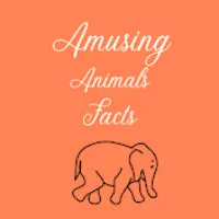 @amusing.animal
