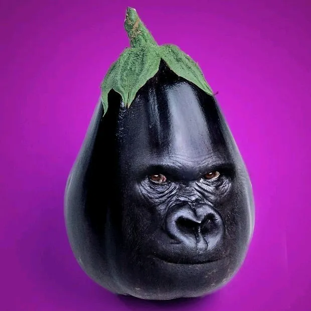 mr.fruktik0