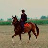 syedarman887