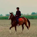 @syedarman887