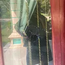 @de_simanjuntak