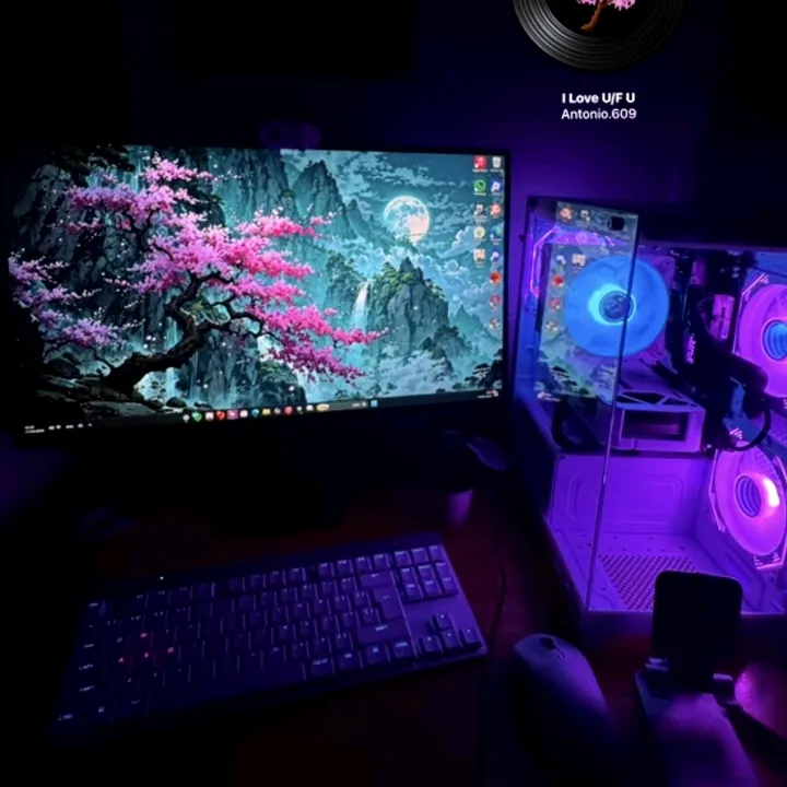 n0xox