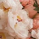 @muzikalnie_kartinki_