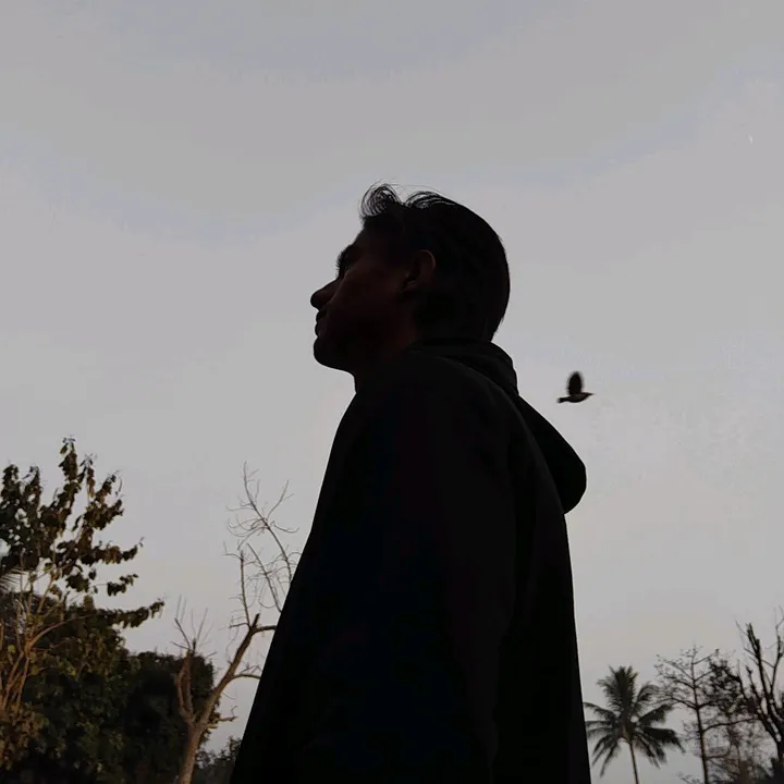 alone_king27