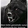 harun.mekan_34