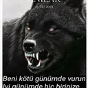 @harun.mekan_34