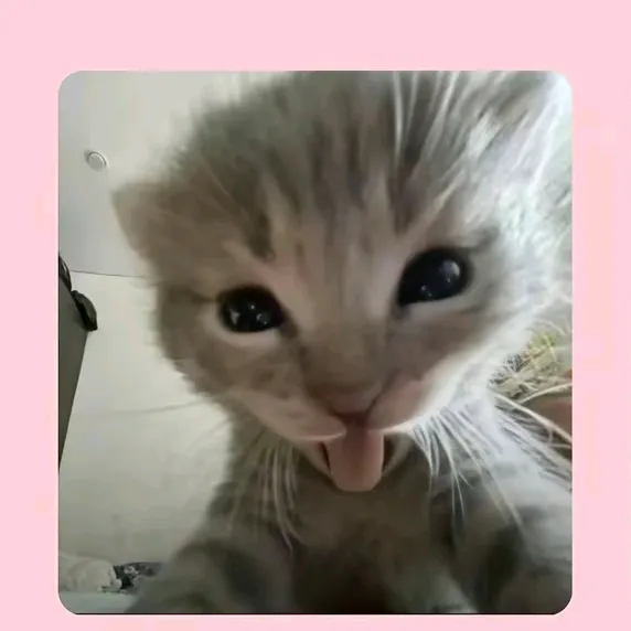 lingsana3