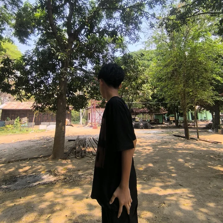 hohh_433