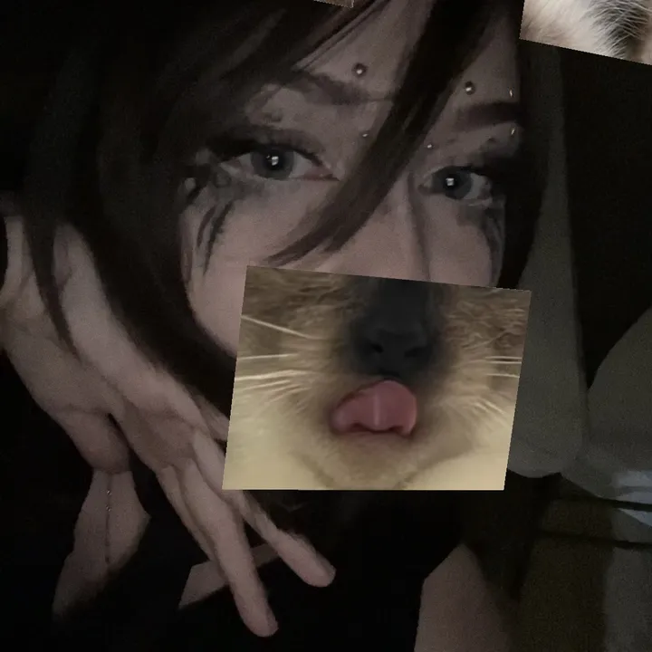 @dhampi_