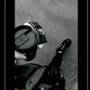 alvinwilliam2