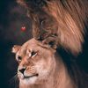 princessebicho7
