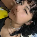 @mapachee_arrollado