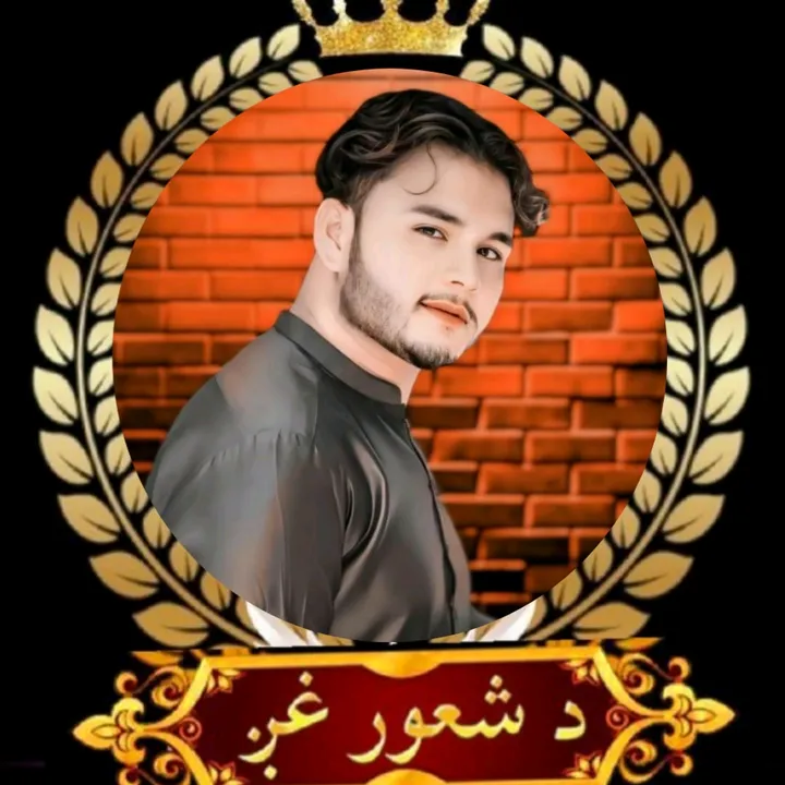 shansinger