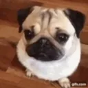@nastygutsss2