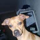 @tubi_sanchez