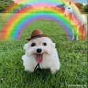 @bacon3861