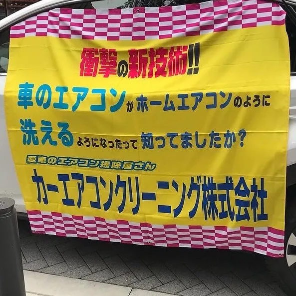 pinknoojisan