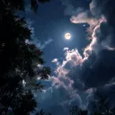 @chancayunchambor19