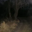 @psino.68