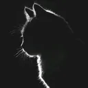 @tabeer_aesthetic