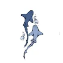 @_shark__0