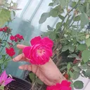 @bivin41398046