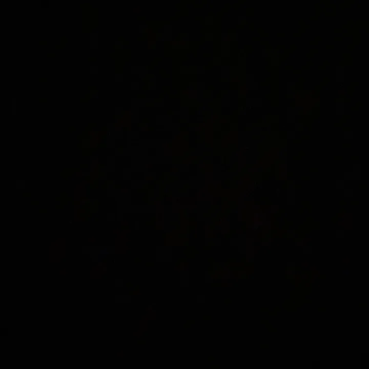 @ezellls1
