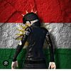 tt_baroo