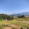 danddrealestatenepal