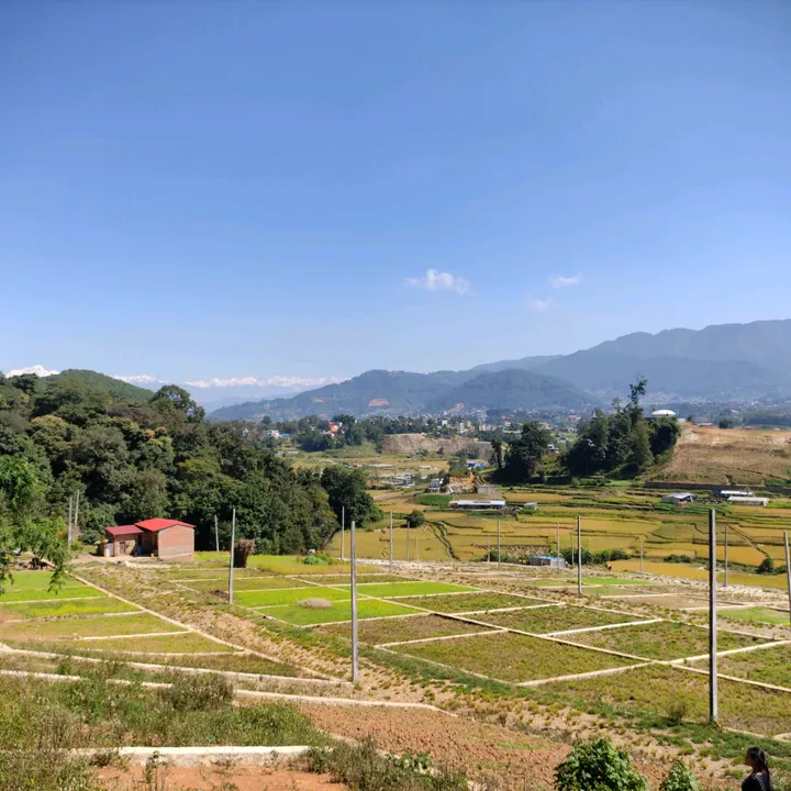 danddrealestatenepal