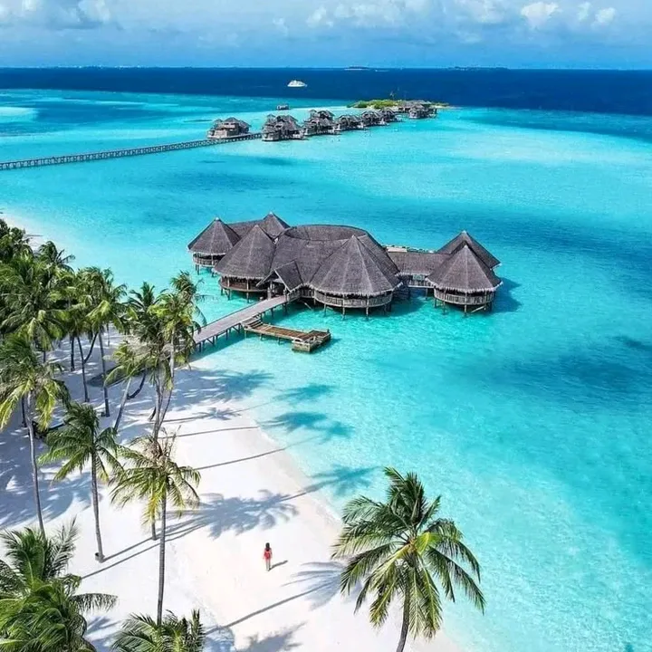@livetravelwellness