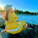 @manishagaire823