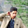 zarrisardar56