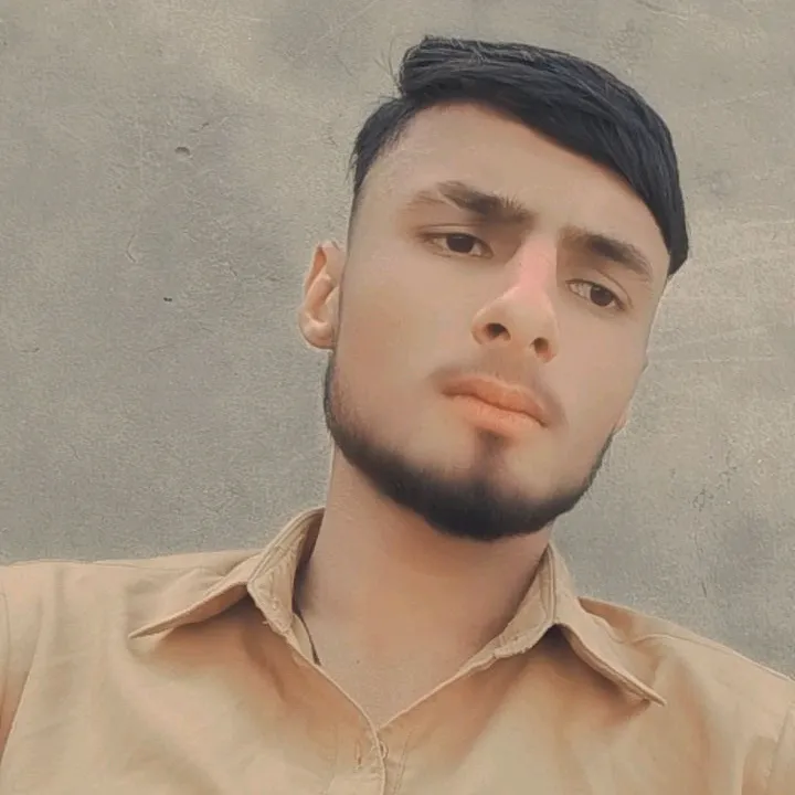 badshahmalik312