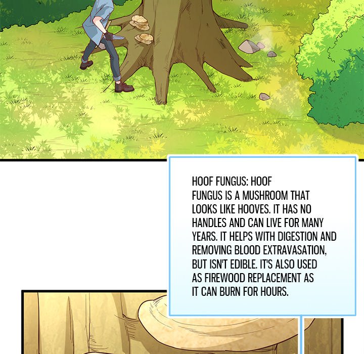 Survival Logbook - episode 6 - 52