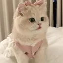 @lvckyxo