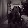 .arinessa