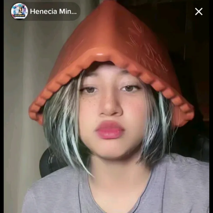 @heneciaminoz2
