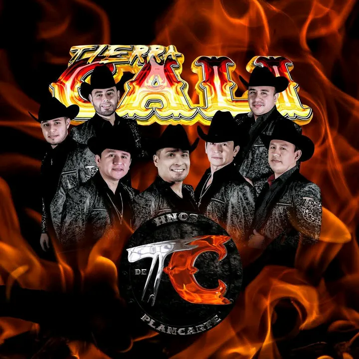 fanshermanosplancartee