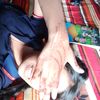 dalli___fuchi