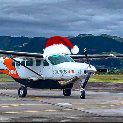 @nz_plane.spotting