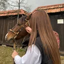 @aisussx