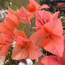 @shop_2u